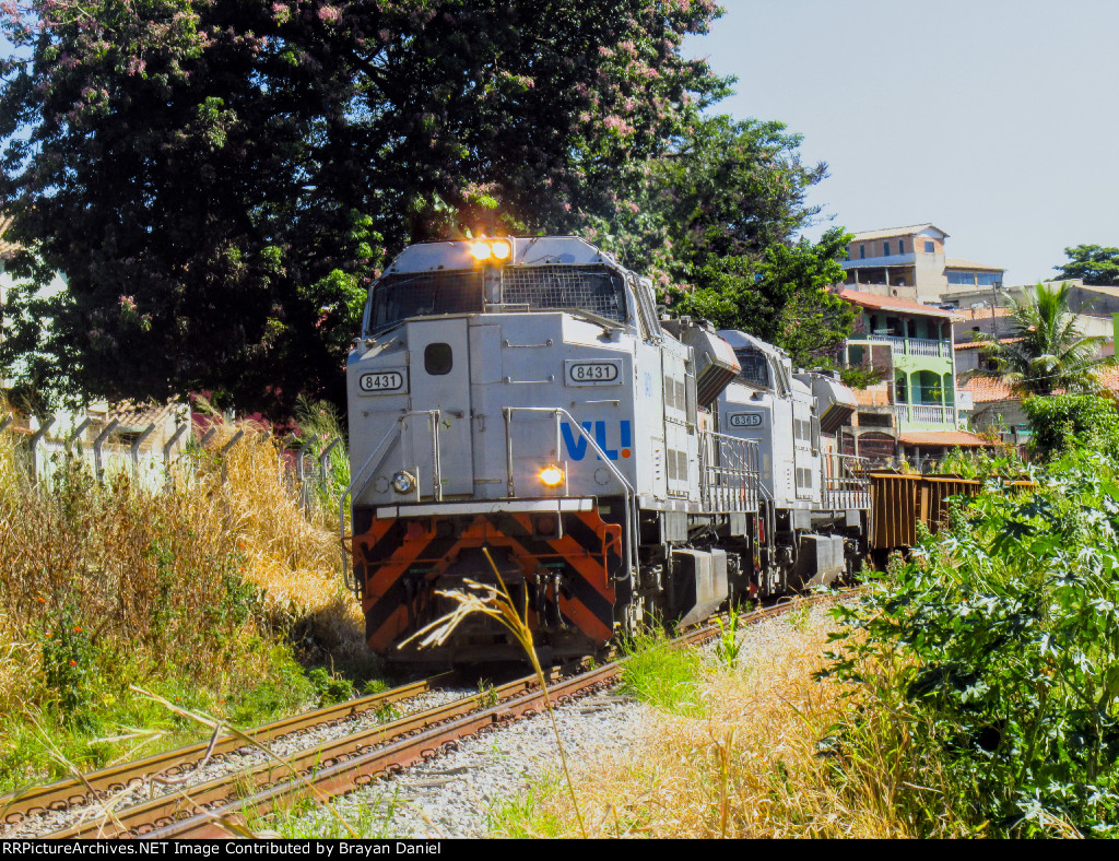 VLI 8431